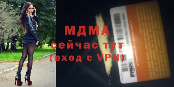 стаф Дмитров
