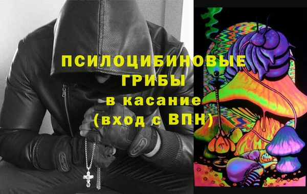 стаф Дмитров