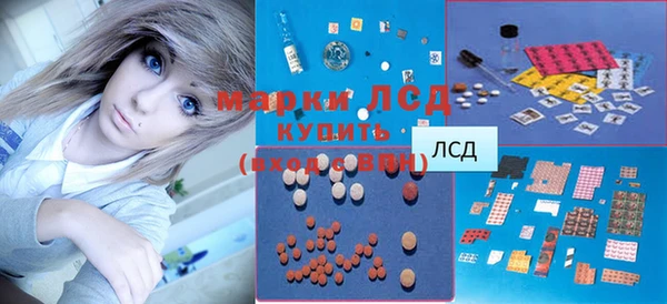 стаф Дмитров