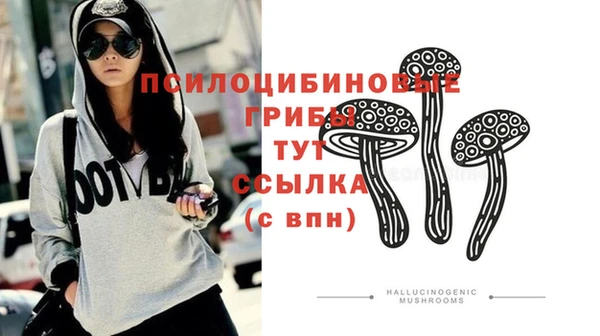 дживик Вязники
