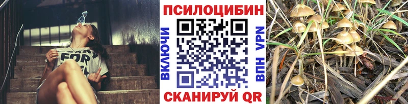 Псилоцибиновые грибы Cubensis  omg ССЫЛКА  Данилов 